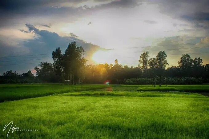 rising sun