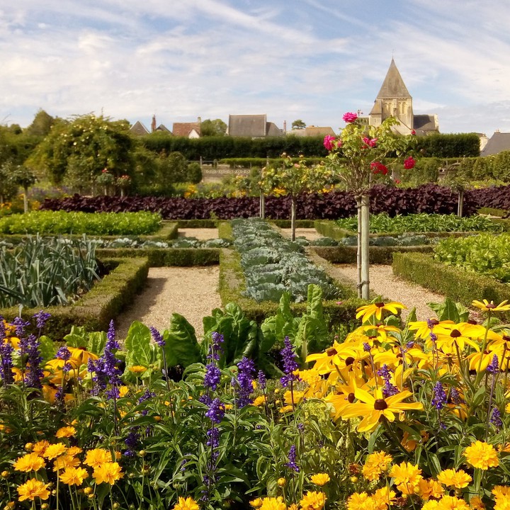 garden of Villandry Castle