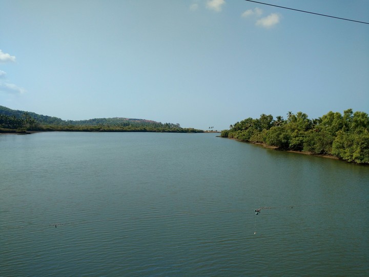 nature at its best..