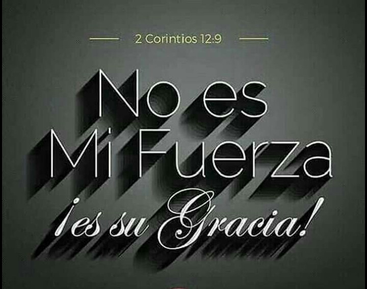 es su gracia