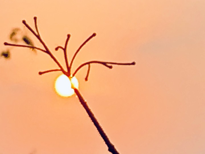 sun