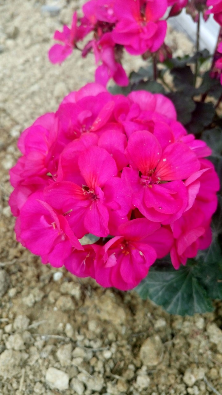 Mert AYDIN