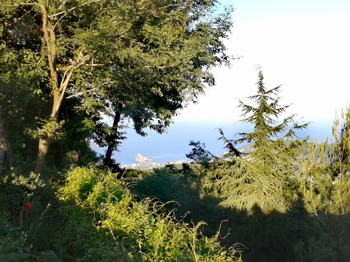 Ischia from Mount Epomeo