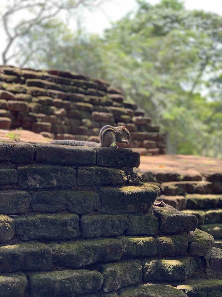 Beautiful Sri Lanka