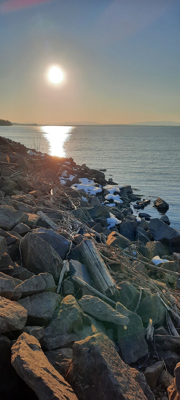 Drift wood