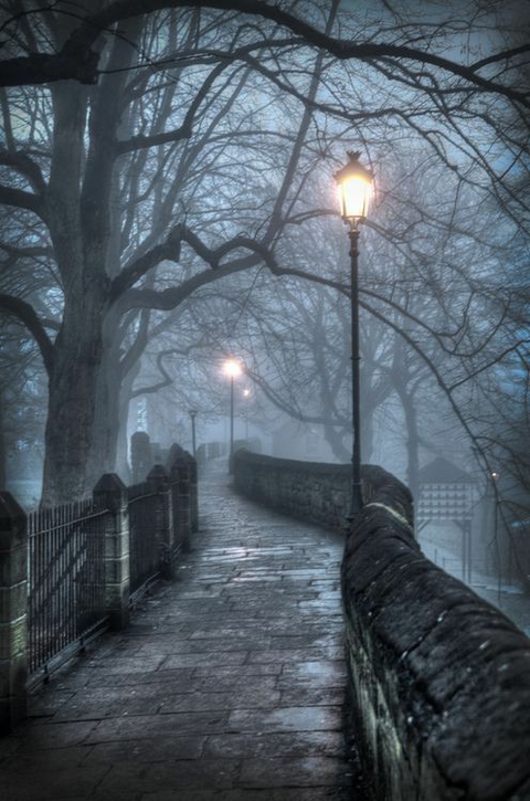 ταπετσαρίες fog, Water