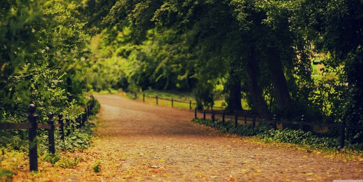 Road