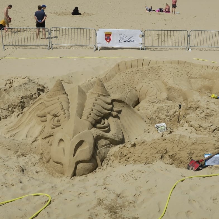 dragon dans le sable