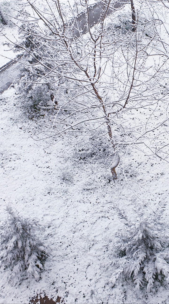 Snow