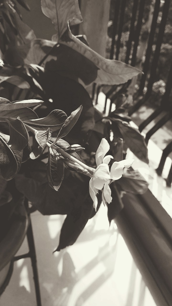 Nature