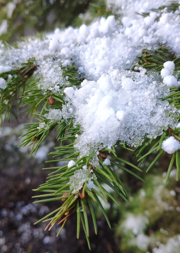 Snow