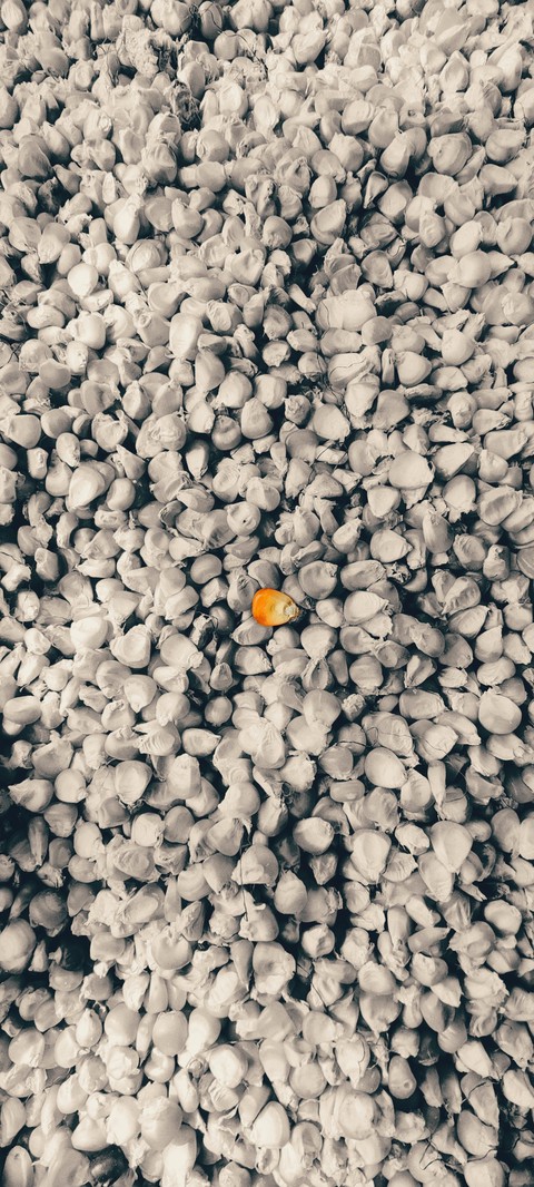 stand alone and stand strong