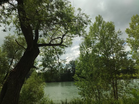 lake