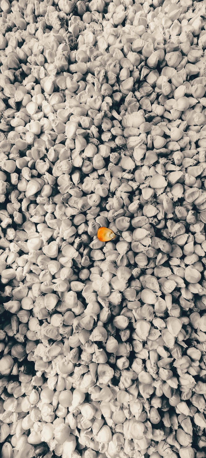 stand alone and stand strong