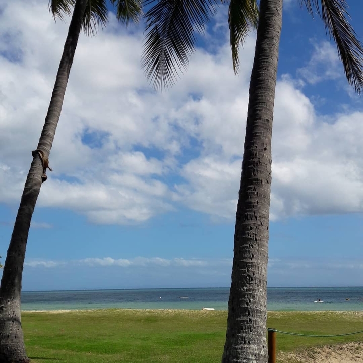 Moreton Island