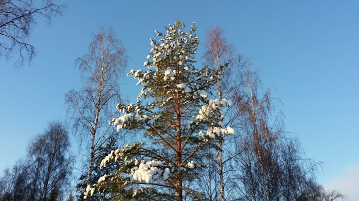 winter