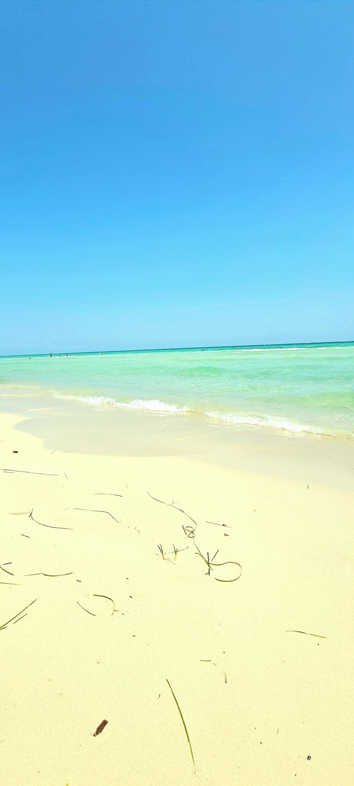 Dream Island Djerba