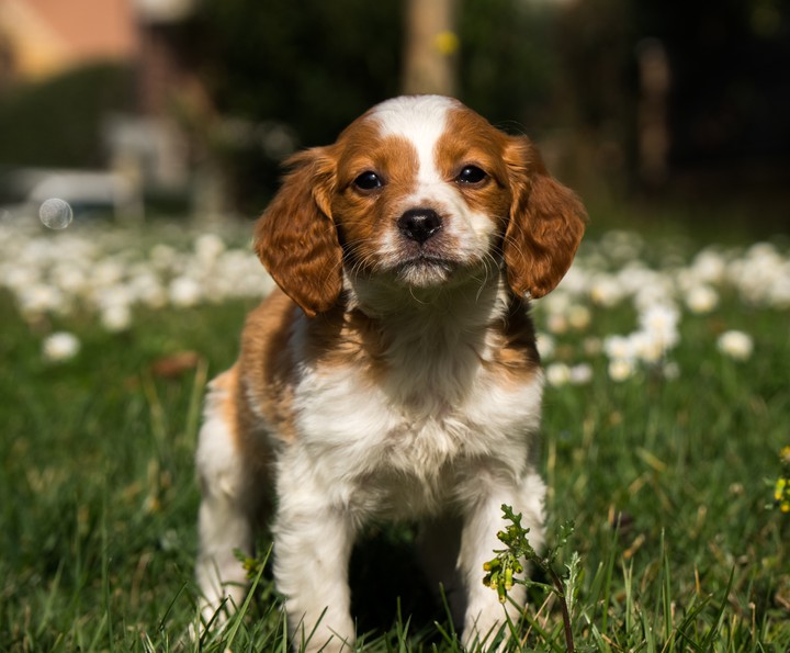 Follow on Instagram : archiethebreton ?