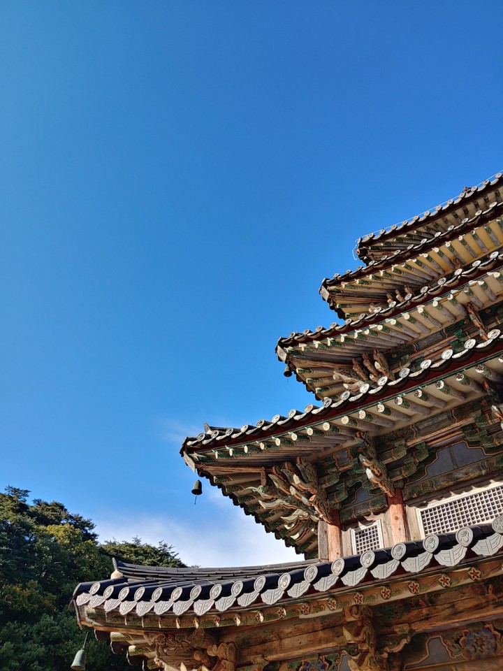 하늘