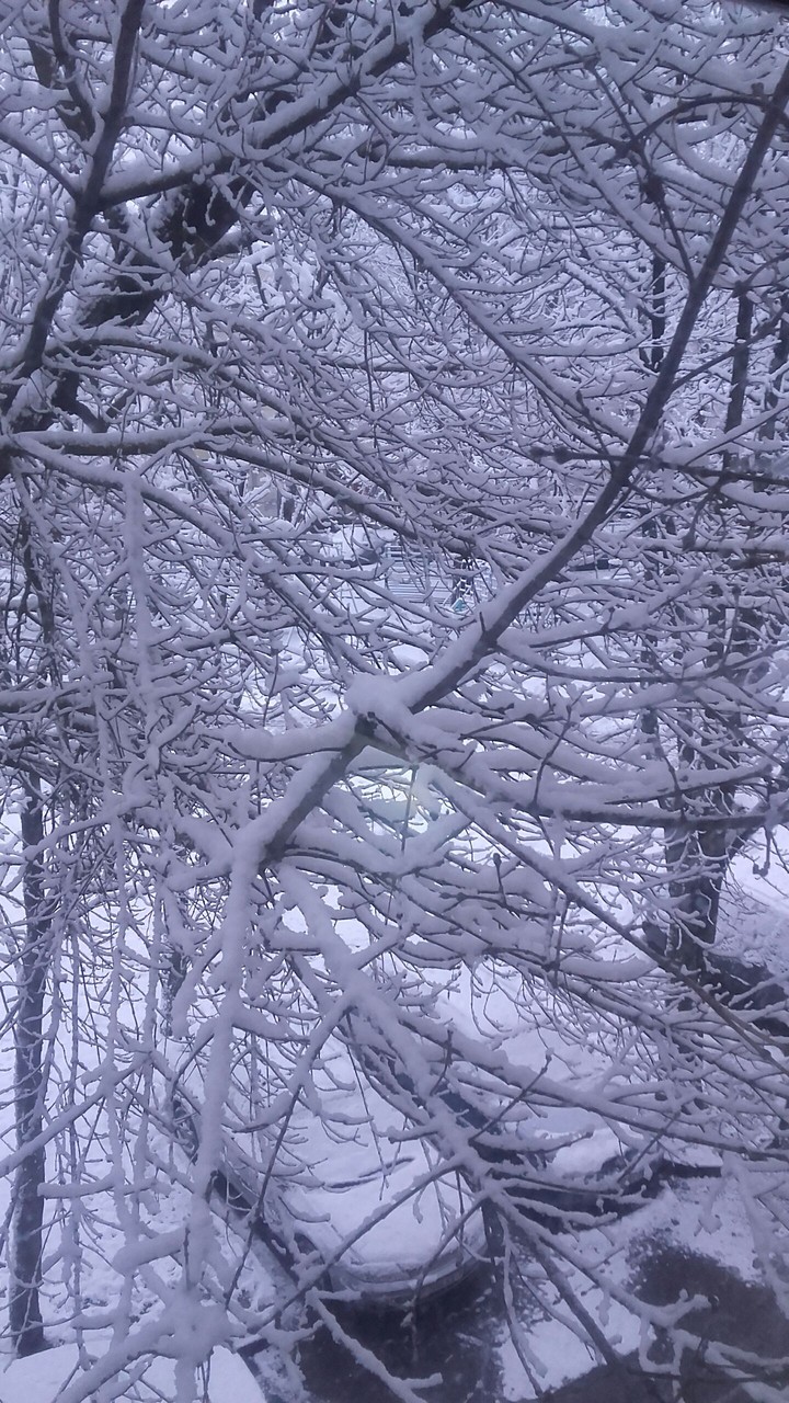 I woke up this morning...