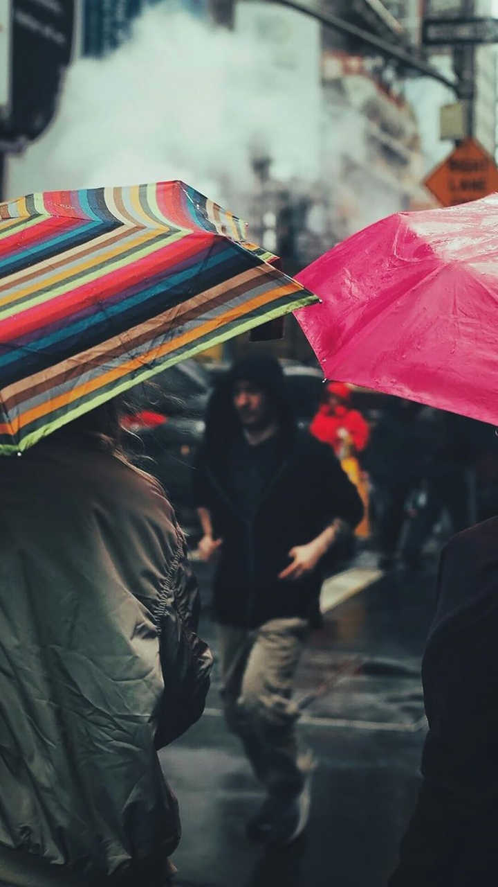 Rainy Day