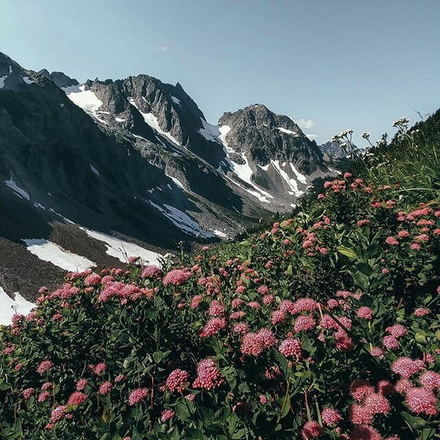 Flowers mood