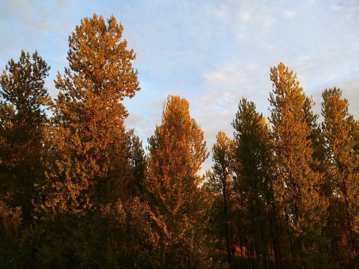 осень