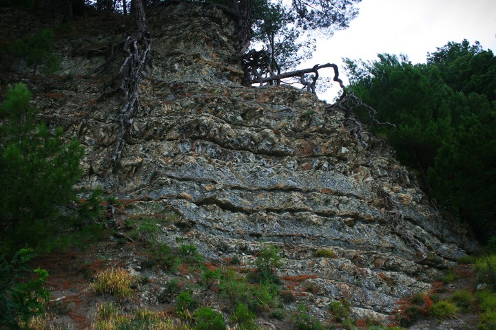 гора