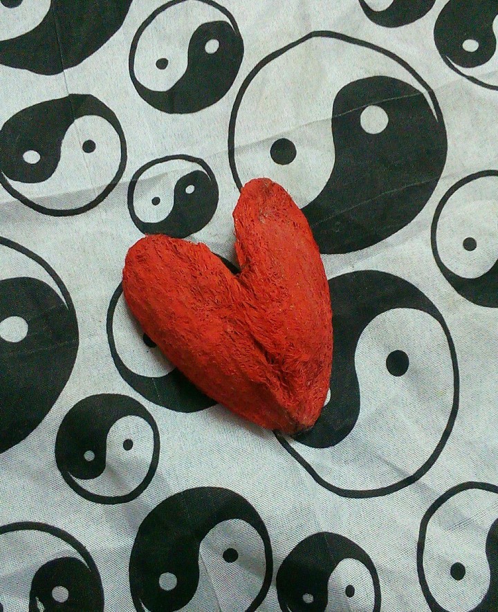 amazing heart