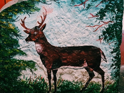 Venado