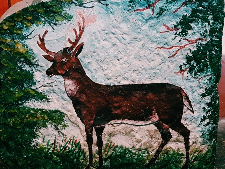 Venado