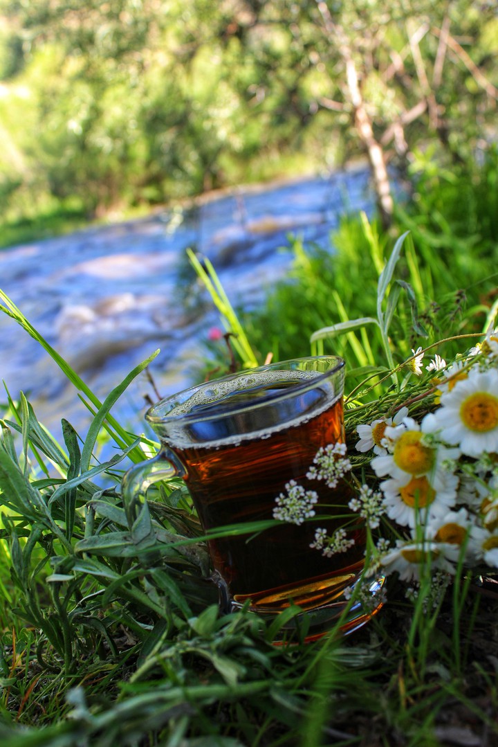 doğa