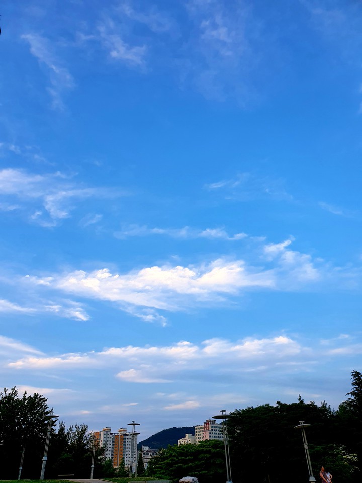 저녁 하늘