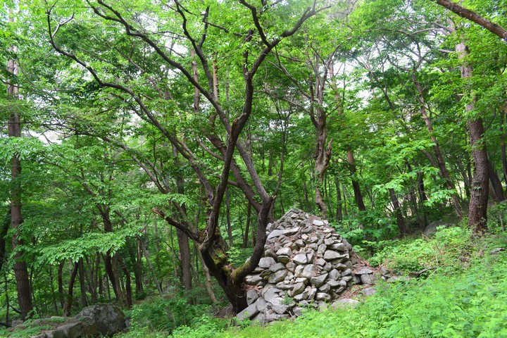 산이미지