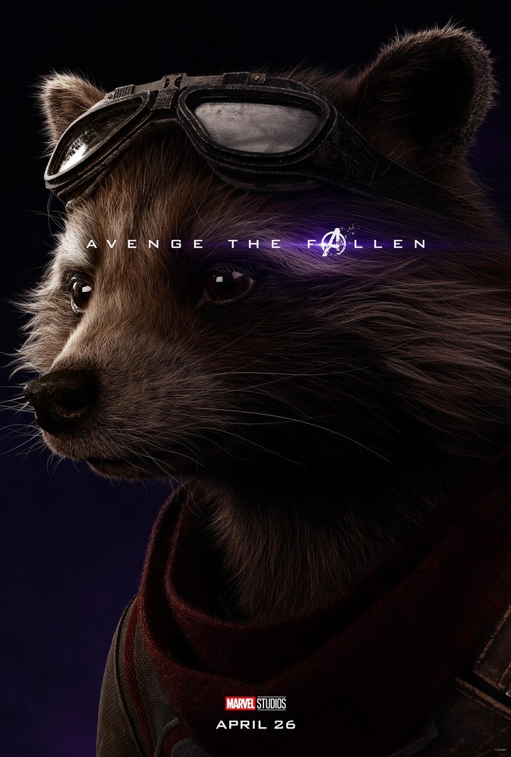 Rocket #Raccoon