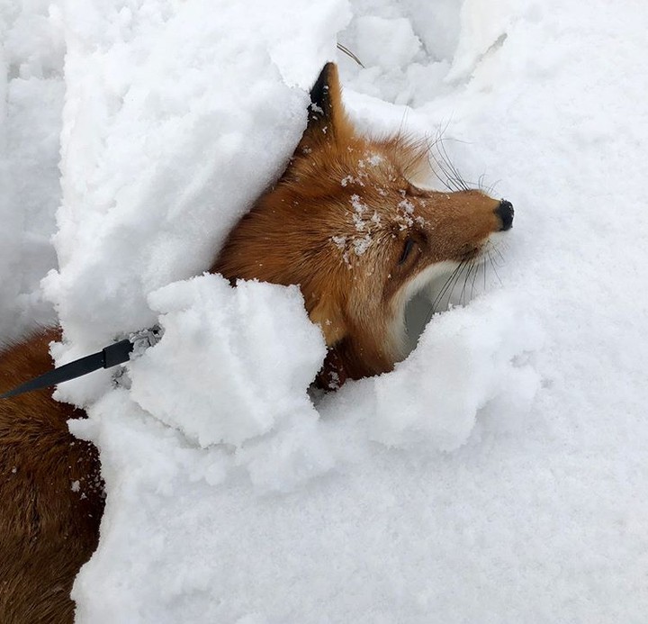 Snow!