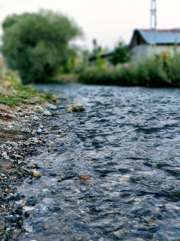 Cayırlı