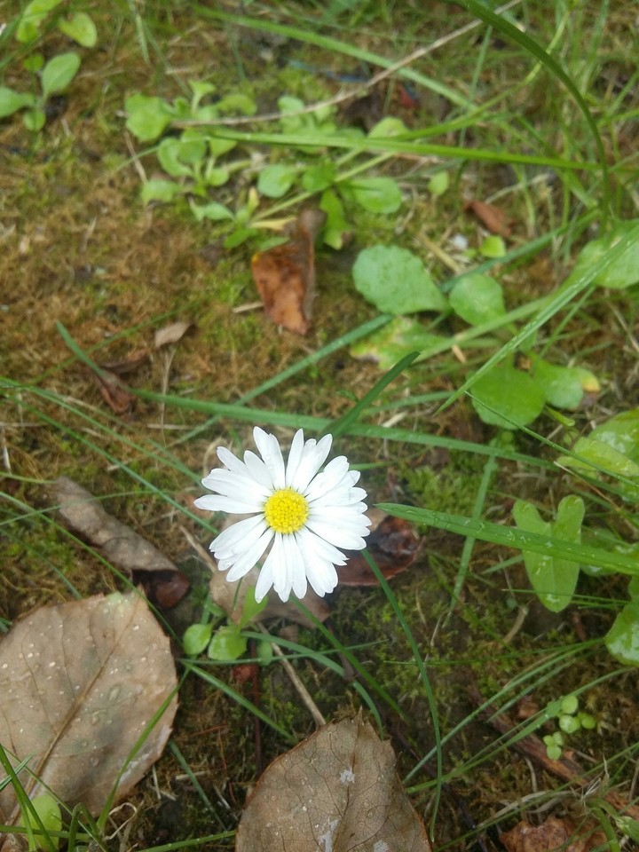 nature