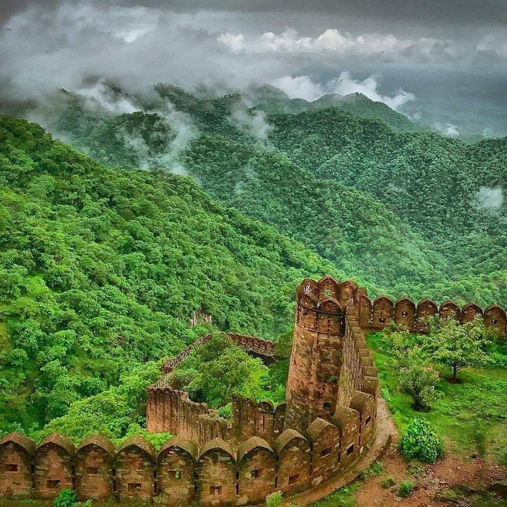 wall