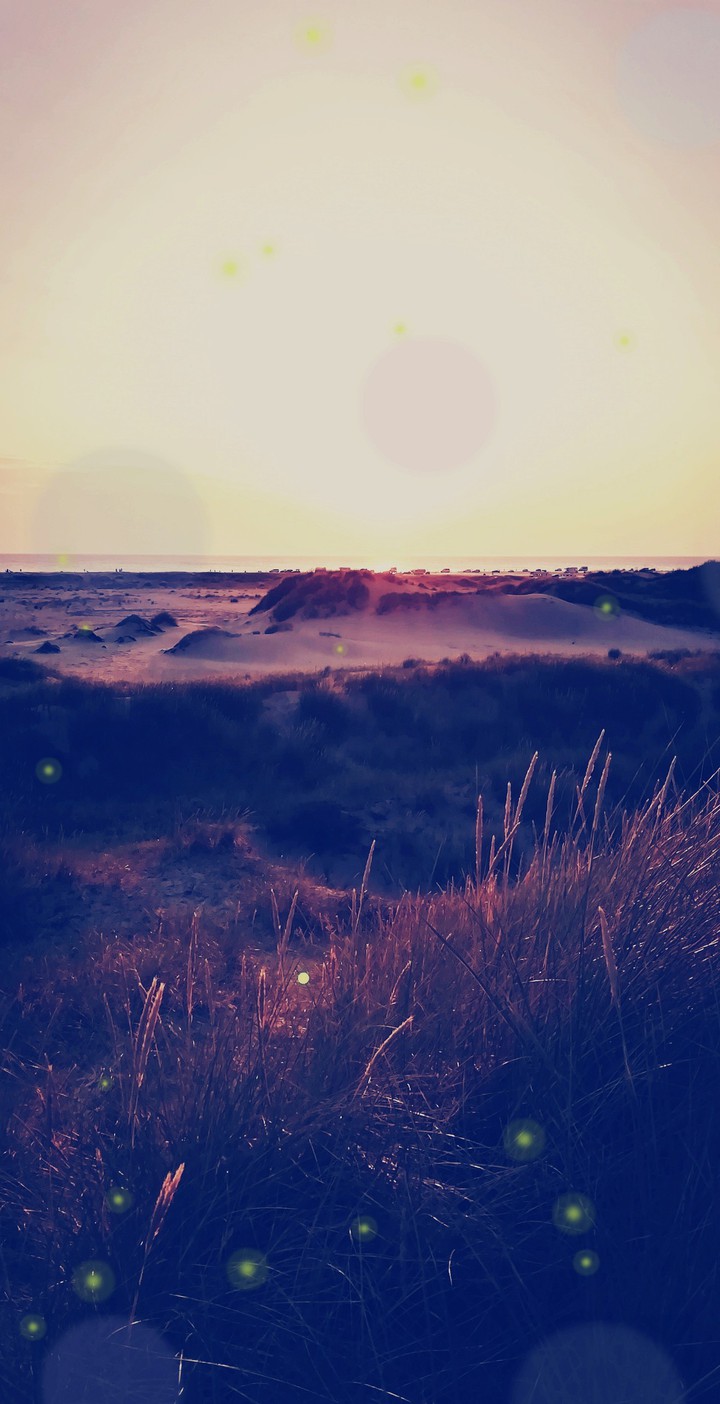Sand