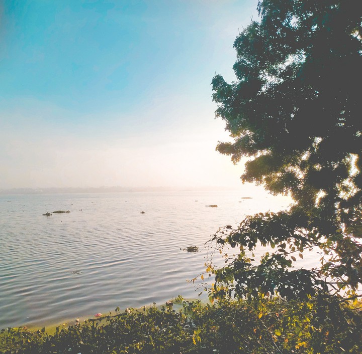 beautiful morning