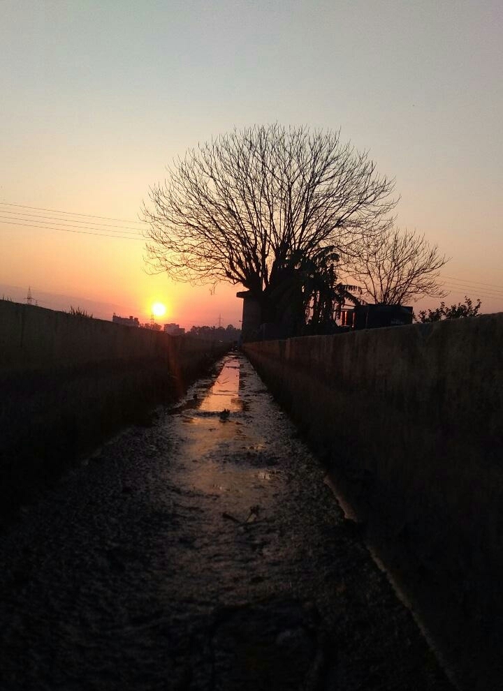 sunset