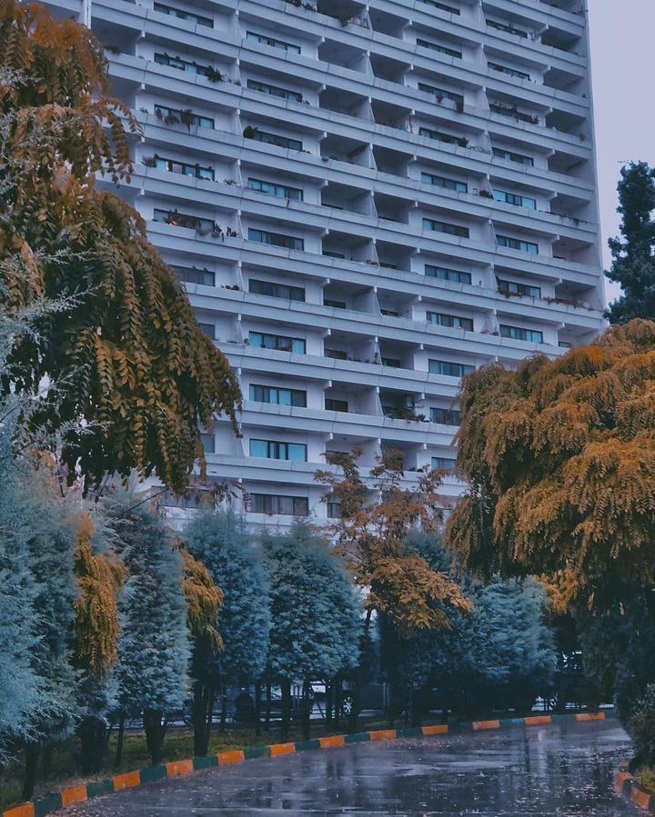 Omid Complex