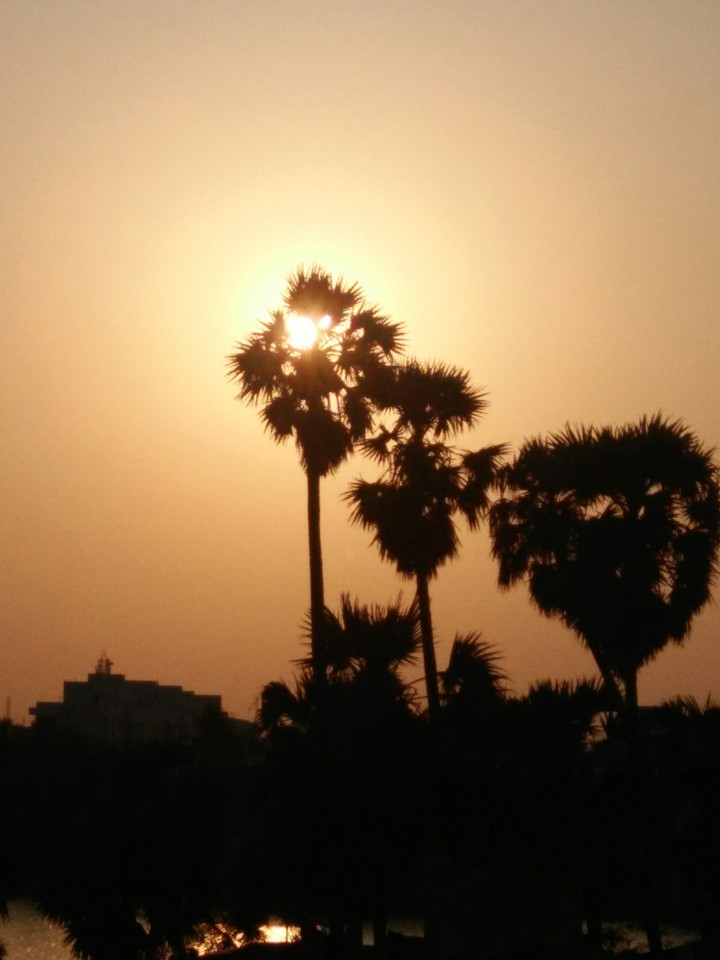 sunset