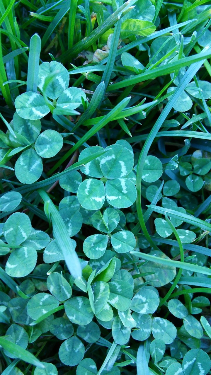 luck