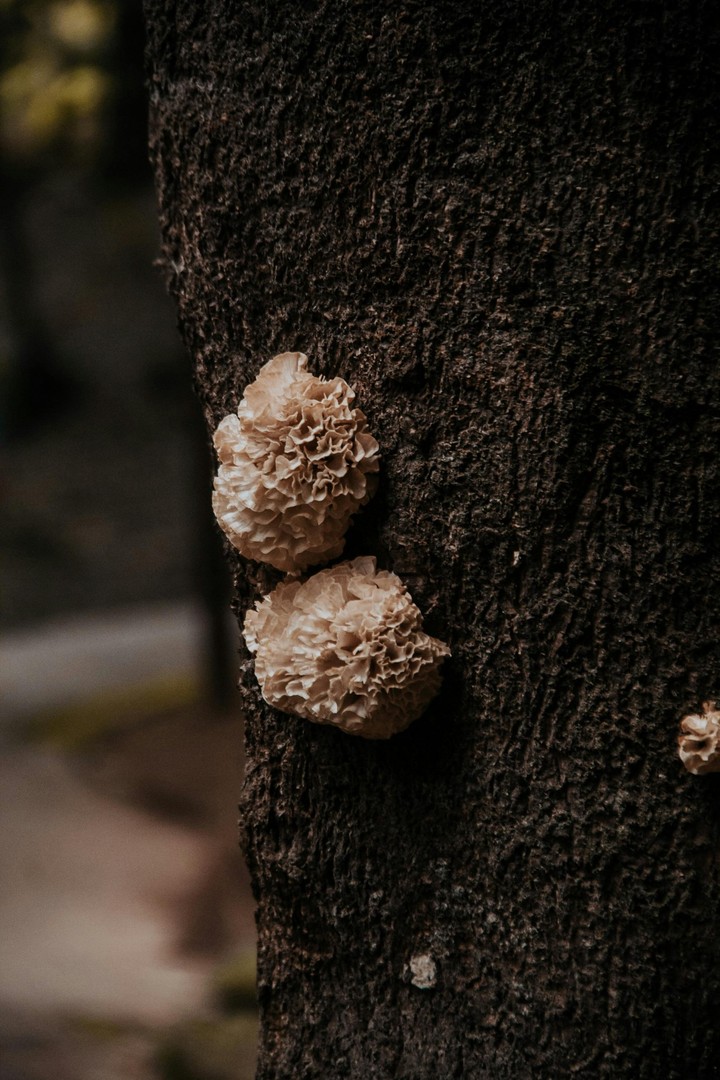 .