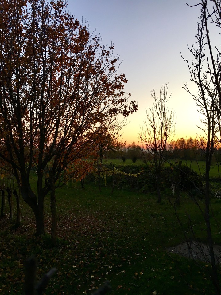 Sun set