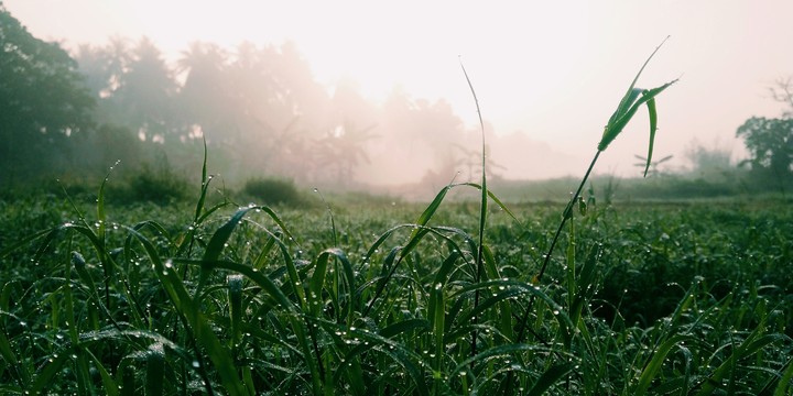 beautiful nature...??