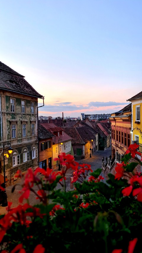 City flowers