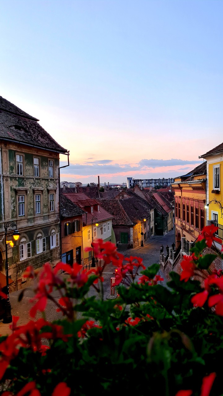 City flowers